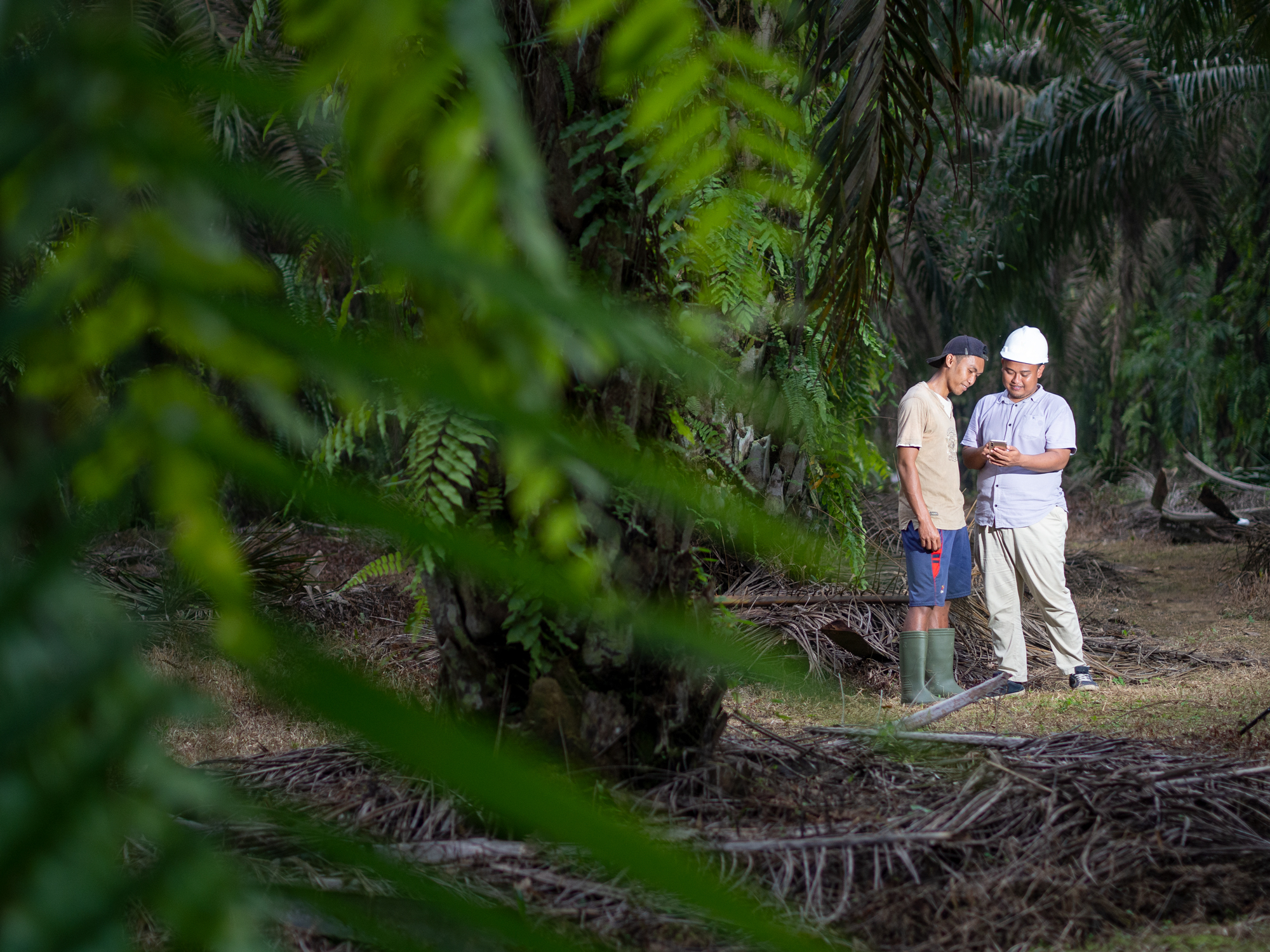 04. Field agent working closely with the producers ensures comprehensive data collection