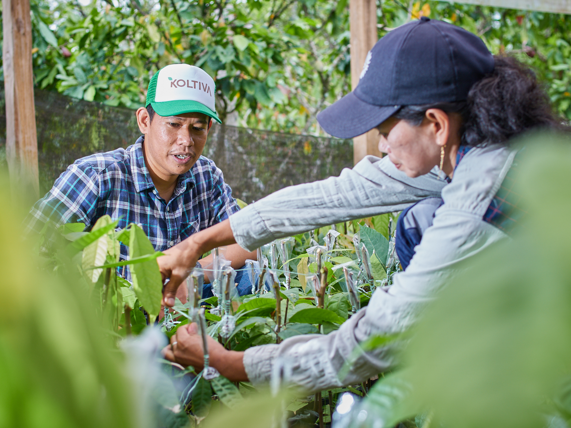 06. KoltiSkills, provide solutions for businesses needing field staff in implementing sustainable sourcing