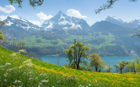 Tropical Alpine Newsletter Q1 2022